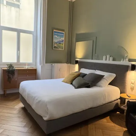 De Charme Rénové En Centre-ville, Animaux Admis - Fr-1-555-123 Aix-les-Bains